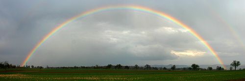 Regenbogen